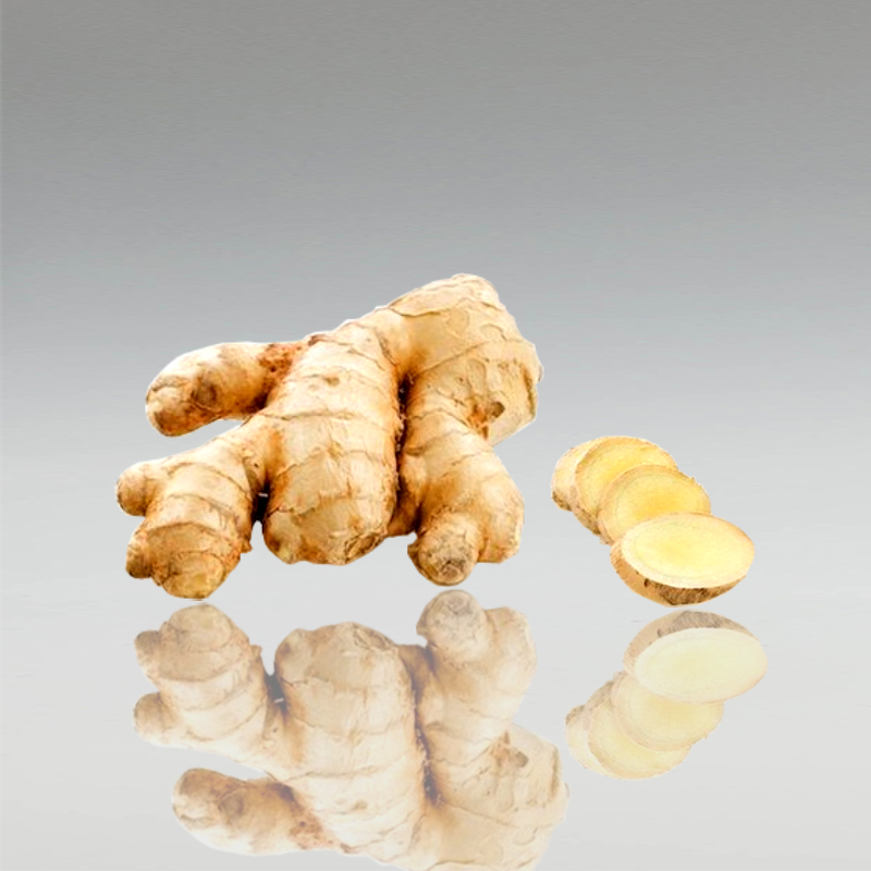 Galanga (Thail. Ingwer), 100g