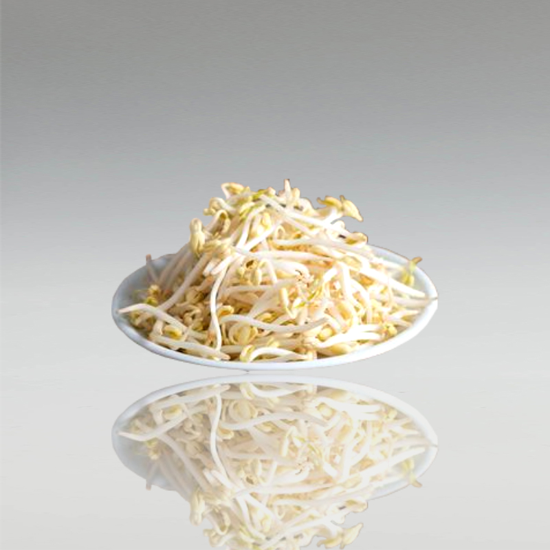 Mungbohnensprossen, 500g